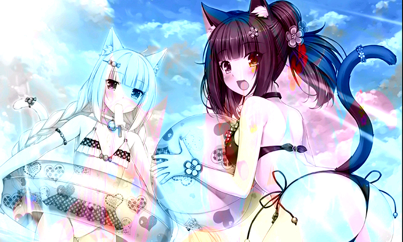 FluxBB bbcode 测试